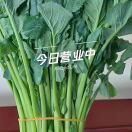 耀杨 特菜财务号