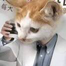 。