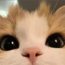 晴天