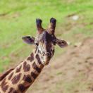 资源请求列表图层云