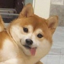 倾寒的头像 - 浩宇工作室