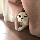 用户45316502的头像 - 浩宇工作室