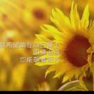 筱綅3827🐯🔥🐶13553447837