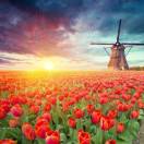 成林的头像-博士钣金 - www.bsbanjin.com