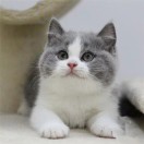 郝**