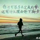 一龙在天