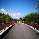 侯震寰