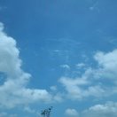 阿扁