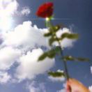 海豚的头像-小燕电子书