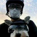 至少D - 校园论坛