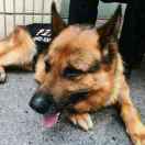 兼职藕片打孔师