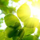 F型病毒输入中…