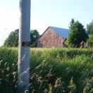 nisashi的头像-日本！日本语