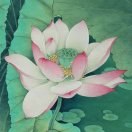 雨滴的头像