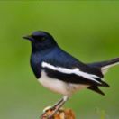 刘建民13016803806