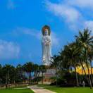 ㊣紫荷夜听雨㊣