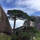 佘佳的头像-博士钣金 - www.bsbanjin.com