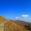 赵静（肖青ELF）