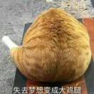 用户31187617的头像-VAM®克苏恩资源社区