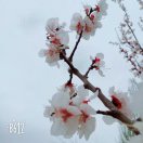 平安