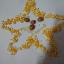 CoCo的头像