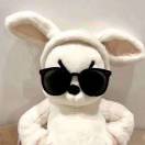 user_28cymroxx2s2iqdi member profile picture