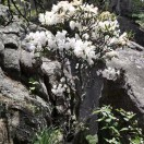 未遇可期的头像-熵减岛