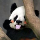 疯一样自由