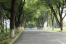 https://thirdwx.qlogo.cn/mmopen/vi_32/Q0j4TwGTfTI8Qt5V80ibnelV6tzQiagv3cao8e6raz1fiaXrH3a3ibu8lczymDnuWMBNQ6a4tjoUPp7CdQTR0gibyWQ/132