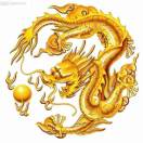 wx_《龍行天下》63