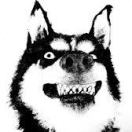 没有对象的野指针