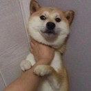 Yaoshikun