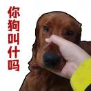 ༒࿈小༙྇火༙྇柴༙྇࿈༒-cg男孩
