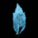 poster avatar