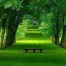 棒棒糖的个人空间