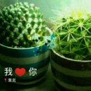 高先生的头像