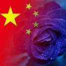 wx_朱久法67