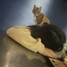 云工创客-王彦苏