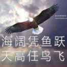 A三屯万才小钟人力15817203313淮锦