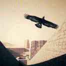 北研所英才少年成长计划