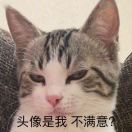 伦敦求租