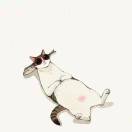 躺不平躺不赢睡不醒