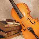 冰山来客 的头像