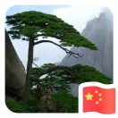 金正科技～恒辰