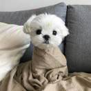 迎宾路小学杨娜