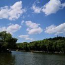 刘畅的头像-外科技术网