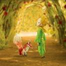 花开富贵 报名时间：2025-11-24 15:46