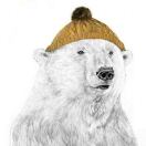 Mr.沈的头像_八羊网