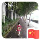 沈先生的柠檬