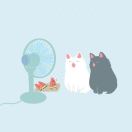 Profile picture of 925100951